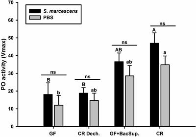 Intestinal Microbiota Confer Protection by Priming the Immune System of Red Palm Weevil Rhynchophorus ferrugineus Olivier (Coleoptera: Dryophthoridae)